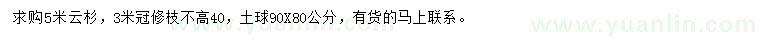 求購5米云杉