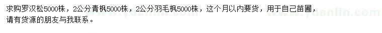 求購羅漢松、青楓、羽毛楓