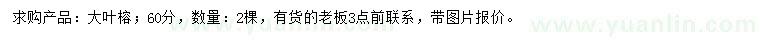 求購60公分大葉榕
