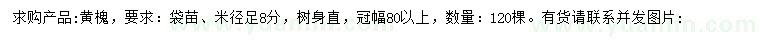 求購米徑足8公分黃槐