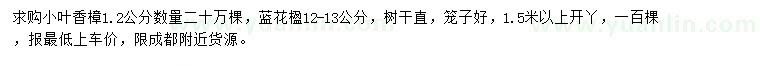 求購(gòu)1.2公分小葉香樟、12-13公分藍(lán)花楹