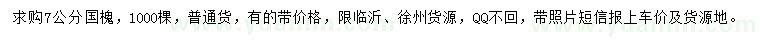 求購7公分國槐