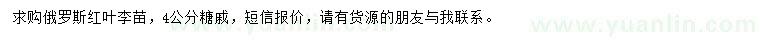 求購俄羅斯紅葉李苗、4公分糖槭