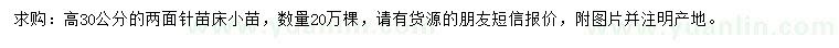 求購高30公分兩面針小苗