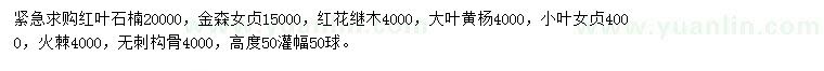 求購紅葉石楠、金森女貞、紅花繼木等