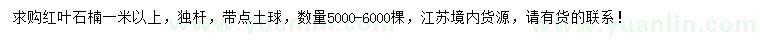 求購(gòu)1米以上紅葉石楠