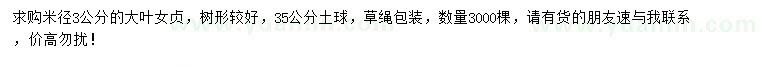 求購米徑3公分大葉女貞