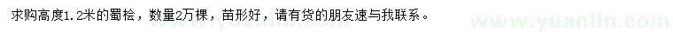 求購(gòu)高度1.2米蜀檜