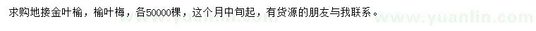求購金葉榆、榆葉梅