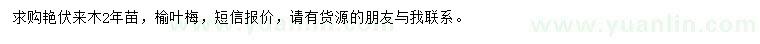 求購艷伏來木2年苗、榆葉梅
