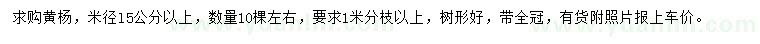 求購(gòu)米徑15公分以上黃楊