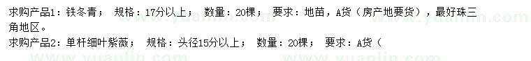 求購17公分以上鐵冬青、頭徑15公分以上細葉紫薇