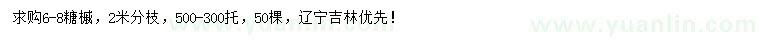 求購6-8公分糖槭