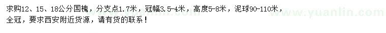 求購(gòu)12、15、18公分國(guó)槐
