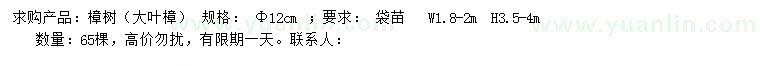 求購(gòu)12公分樟樹(shù)（大葉樟）