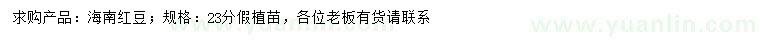 求購23公分海南紅豆