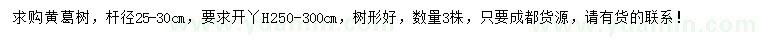 求購桿徑25-30公分黃葛樹