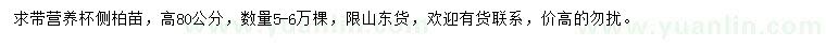 求購高80公分側(cè)柏