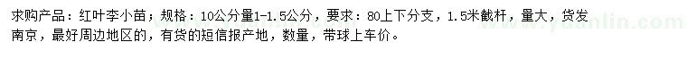 求購10公分量1-1.5公分紅葉李小苗