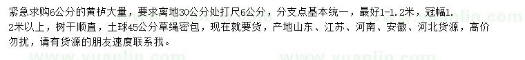 求購6公分黃櫨