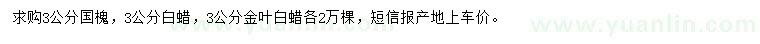 求購國槐、白蠟、金葉白蠟