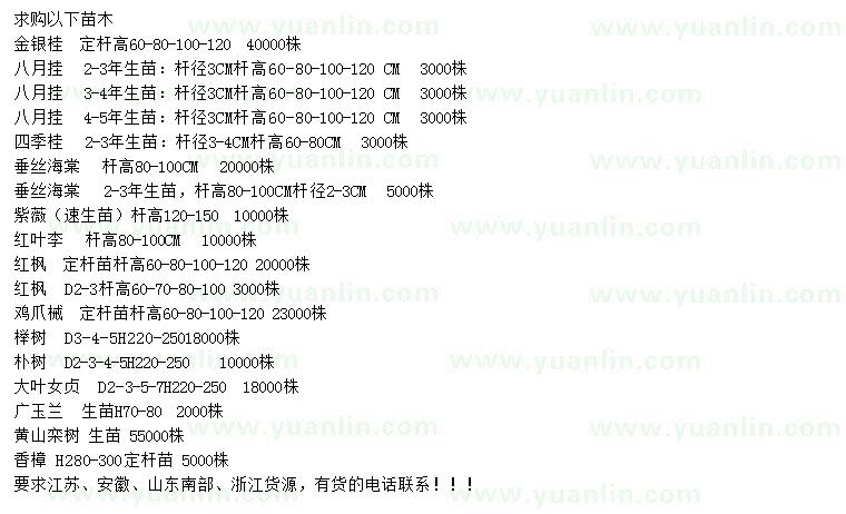 求購(gòu)金銀桂、八月桂、四季桂等
