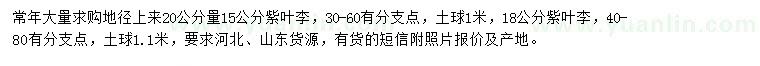 求購(gòu)15、18公分紫葉李