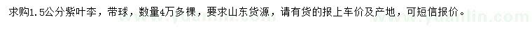 求購1.5公分紫葉李