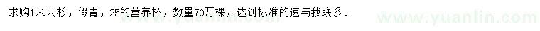 求購(gòu)1米云杉