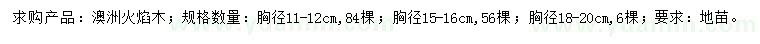 求購胸徑11-12、15-16、18-20公分澳洲火焰木