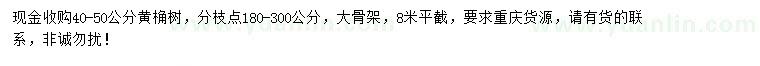 求購40-50公分黃桷樹
