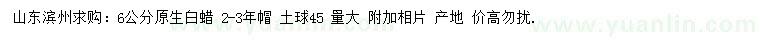 求購6公分白蠟