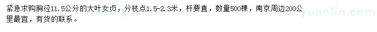 求購胸徑11.5公分大葉女貞
