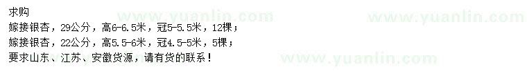 求購(gòu)22、29公分嫁接銀杏