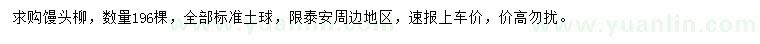 求購饅頭柳