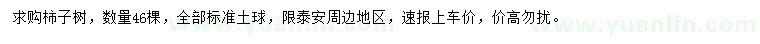 求購(gòu)柿子樹