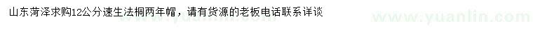 求購12公分速生法桐