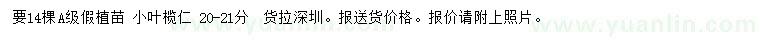 求購(gòu)20-21公分小葉欖仁