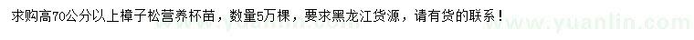 求購高70公分以上樟子松
