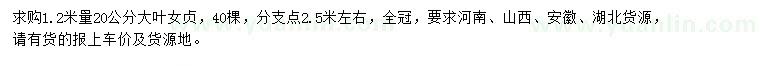 求購1.2米量20公分大葉女貞