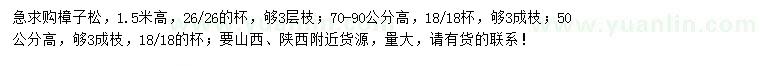 求購高50、70-90、1.5米樟子松