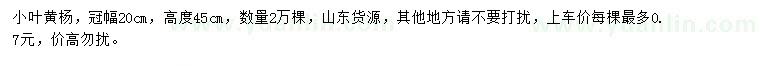 求購高45公分小葉黃楊