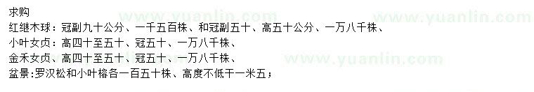 求購(gòu)紅繼木球、小葉女貞、金禾女貞等