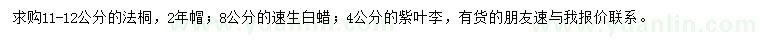 求購法桐、速生白蠟、紫葉李