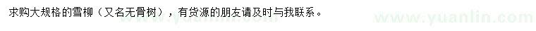 求購(gòu)大規(guī)格雪柳（無(wú)骨樹(shù)）