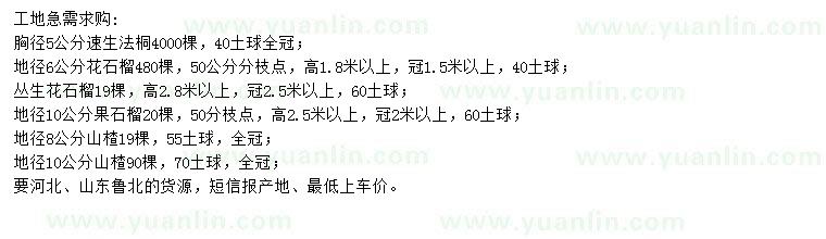 求購速生法桐、花石榴、果石榴等