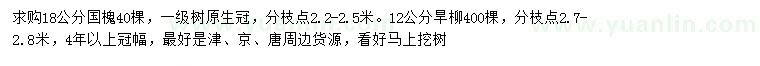 求購18公分國槐、12公分旱柳