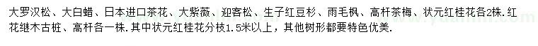 求購大羅漢松、大白蠟、茶花等