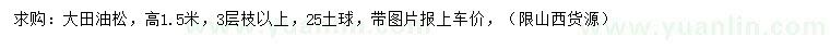 求購(gòu)高1.5米油松
