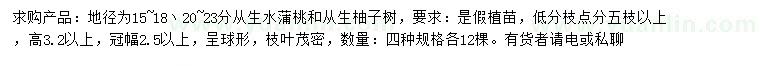 求購(gòu)地徑為15-18、20-23分叢生水蒲桃、叢生柚子樹